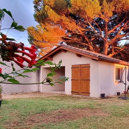 Appartement Quinault Libourne Ngoại thất bức ảnh