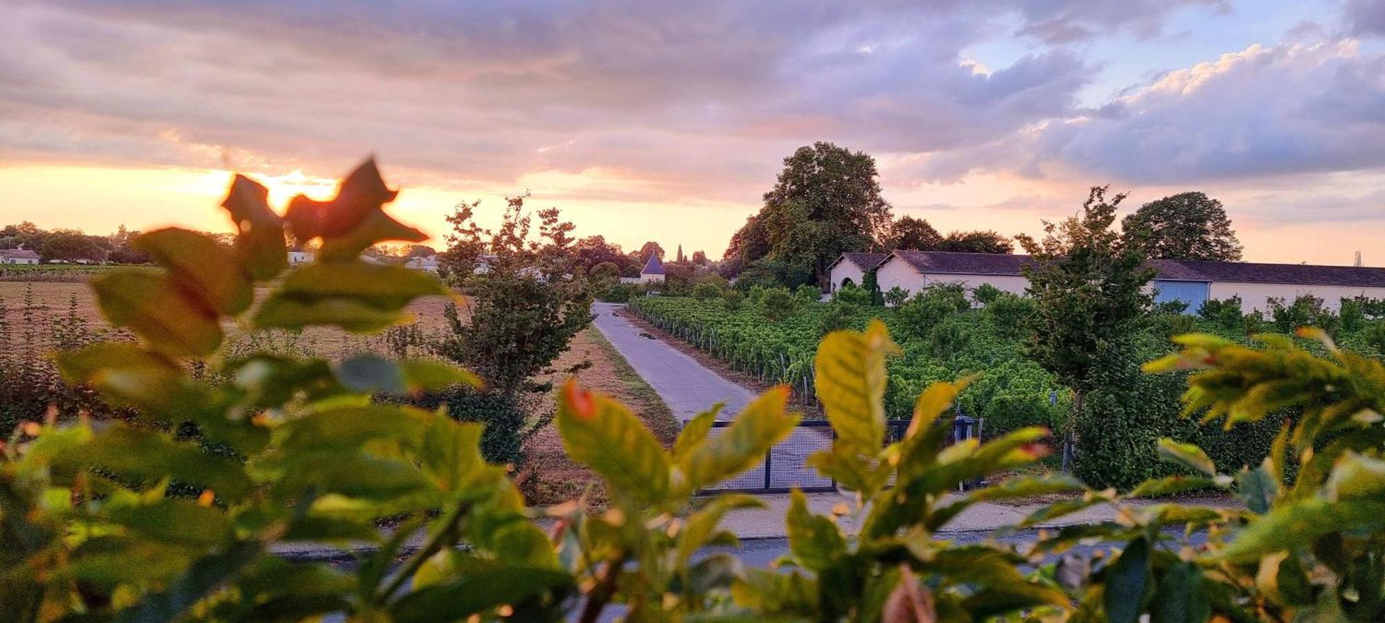 Appartement Quinault Libourne Ngoại thất bức ảnh